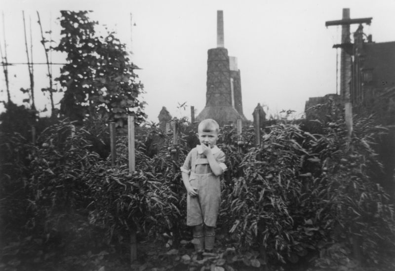 Junge im Schrebergarten beim Essen einer Tomate Junge im Schrebergarten beim Essen einer Tomate